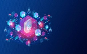 Security shield image