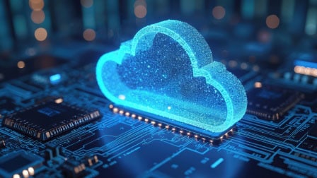 Flexible deployment cloud image